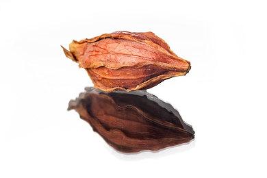 《绿色地狱》PS5＆XSX版8月14日发售 销量破600万